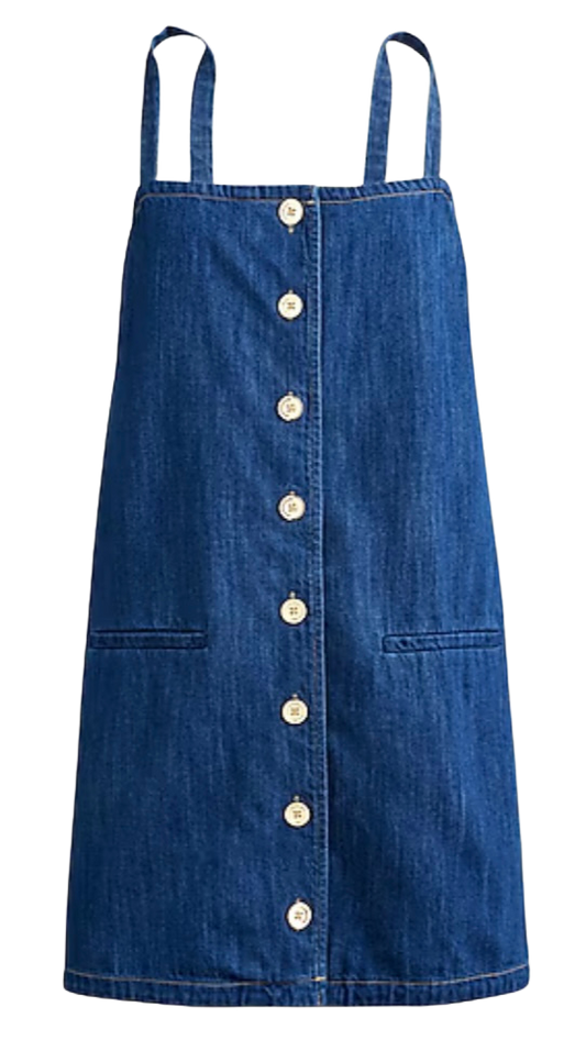 Claudia dress in denim